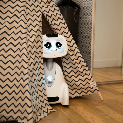 Robot assistant compagnon surveillance Buddy Pro Blue Frog Robotics