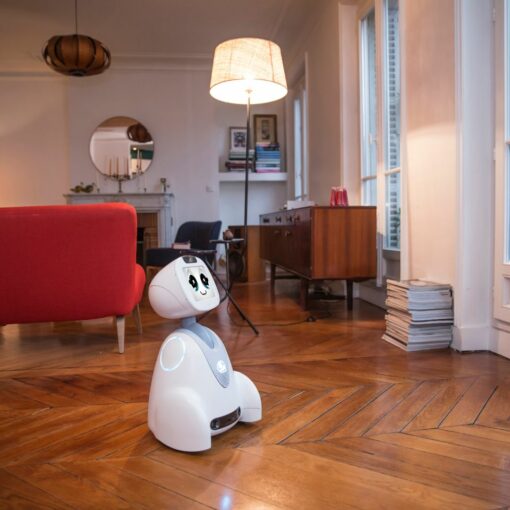 Robot assistant compagnon surveillance Buddy Pro Blue Frog Robotics