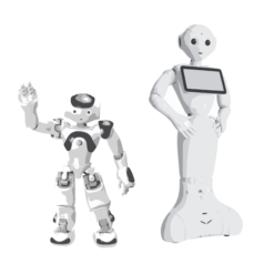 Robot Assistance à la Personne