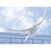 biomimetisme robot oiseau smartbird festo mouette argentee aerodynamique ultraleger decolle vole atterrit seul