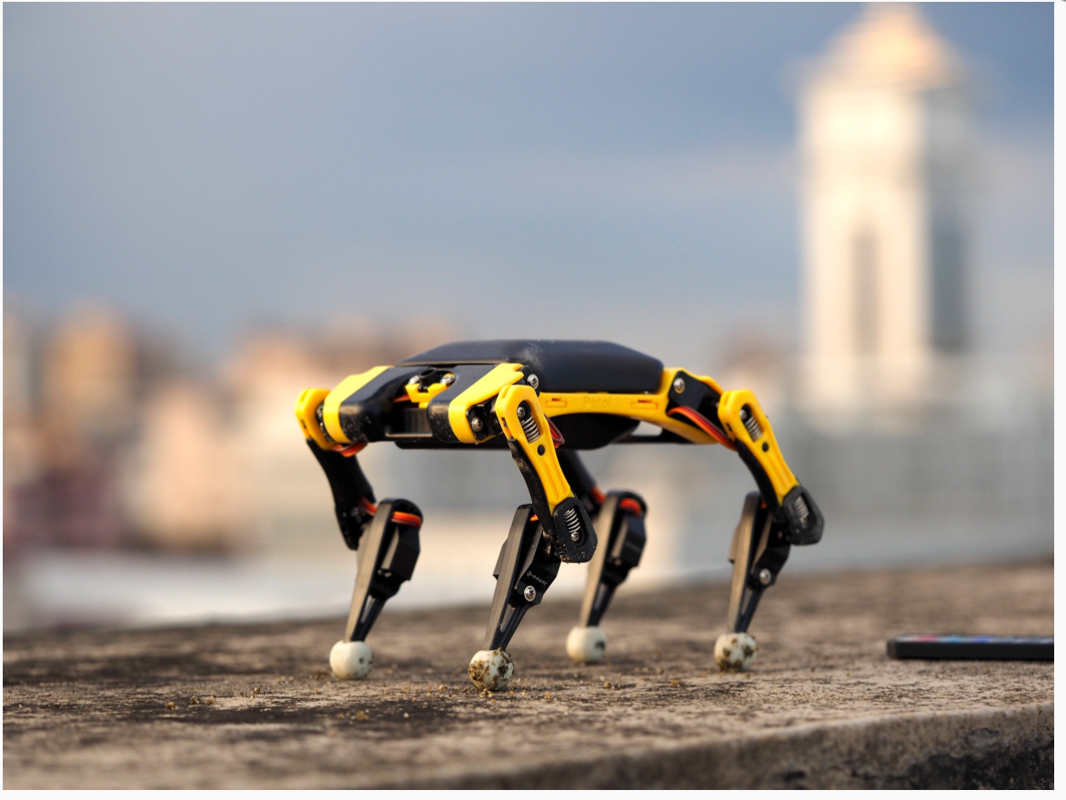 kit-robot-chat-mini-stem-loisir-open-source-bitlle-petoi-opencat-a-monter-et-a-programmer-6