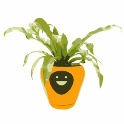 Robot Jardinerie