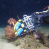 pince robotique souple doigts robot squishy wyss institute exploration haute mer 1