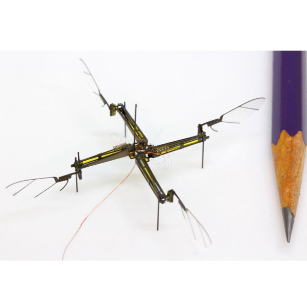 recherche et developpement robot biomimetisme autonomous insect robotics lab 2