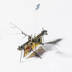 recherche et developpement robot biomimetisme autonomous insect robotics lab