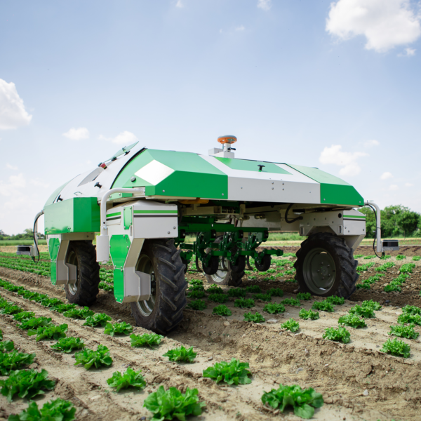 robot agricole desherbage mecanique dino naio technologies legumes