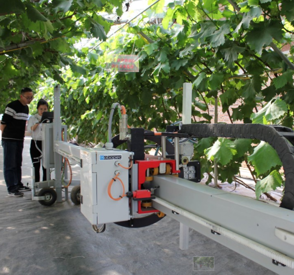 robot agriculture rail portique de mesure scanner 3d reconsctruction phenofix robopec 1