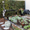 robot jardin open source farmbot genesis v1 6 xl v1 6 plante legume fruit chez vous robot cartesien automatique