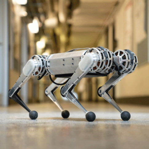 robot plateforme recherche developpement mini cheetah mit chien