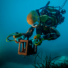 robot sous marin humanoide bimanuel avec retour haptique ocean one stanford robotics lab 1