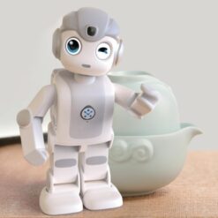 Robot éducatif compagnon Robin ZoraBots, divertissement au bureau, pour l’accueil et la Recherche & Développement + solution logicielle Partenaire clé en main – Alpha mini Ubtech