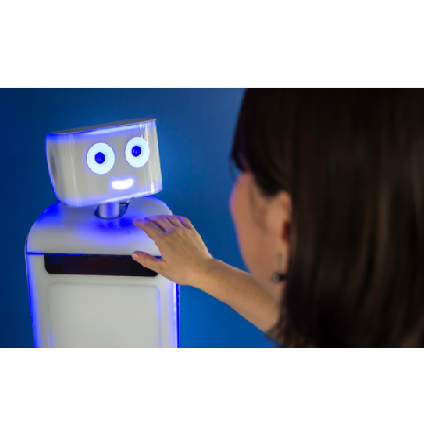 robot d accueil du public waldo ImmersiveRobotics 2