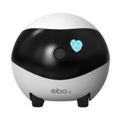 robot compagnon intelligent pour toute la famille ebo enabot