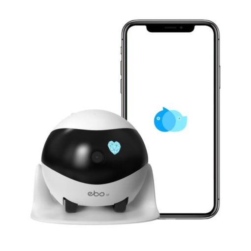 robot compagnon intelligent pour toute la famille ebo enabot