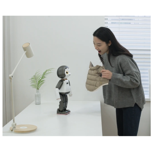 robot assistance a la personne torooc liku soutenir ecouter apprendre 2
