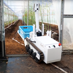 robot agriculture inaho inc autonomous asparagus harvesting robot ver3 efficace autonome tomates 2