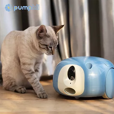 robot animaux pumpkii intelligent compagnon telecomande interactif 3
