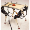 robot recherche university d oslo dyret dynamiques tests incarnes quadrupede experiences informatiques 1