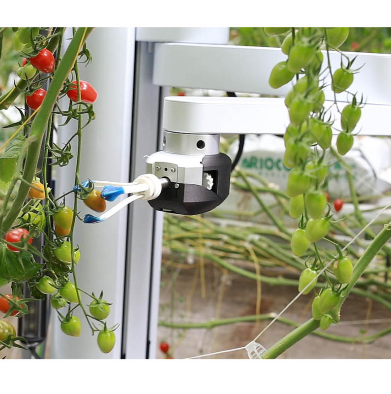 Robot Agricole Root AI Virgo détection en temps réel intelligent ...