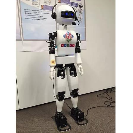 robot evenements et spectacles robobuilder event show expositions presentations 1