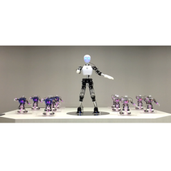 robot evenements et spectacles robobuilder event show expositions presentations 2