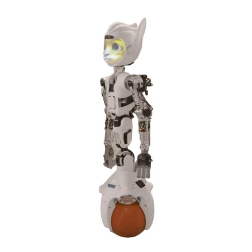 Robot Assistance personne service humanoide Mirokai Enchanted robotics