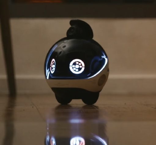 Robot de surveillance maison assistance personne télécommandé Ebo X Enabot