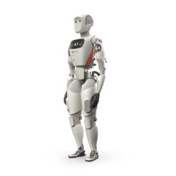 Robot Humanoïde Livraison industrie Apollo Apptronik