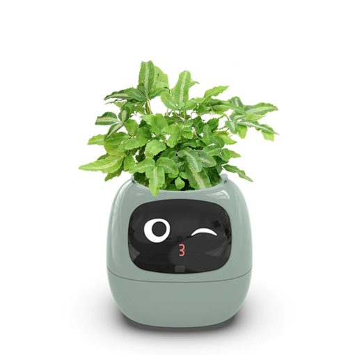 Robot Jardinerie compagnon de bureau Ivy Plantsio