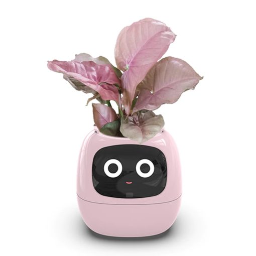 Robot Jardinerie compagnon de bureau Ivy Plantsio