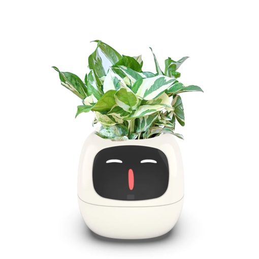 Robot Jardinerie compagnon de bureau Ivy Plantsio