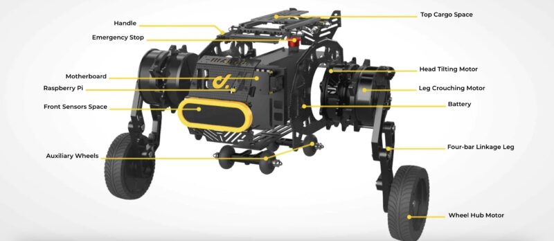 Robot Construction Programmation 2 roues auto-équilibrage Diablo World Direct Drive