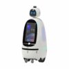 Robot Humanoïde Sécurité et surveillance conduite autonome Iroi Dogu
