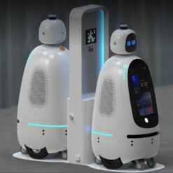 Robot Humanoïde Sécurité et surveillance conduite autonome Iroi Dogu