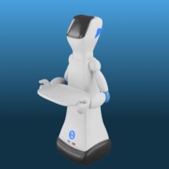 Robot de Service Compagnon Domestique Connecté Stellar AI robotics