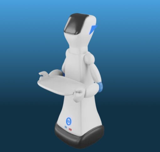 Robot de Service Compagnon Domestique Connecté Stellar AI robotics