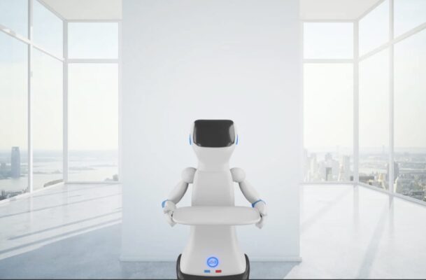 Robot de Service Compagnon Domestique Connecté Stellar AI robotics